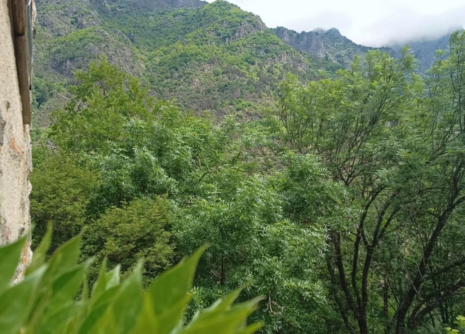 Chambre Ou Gite Dans Une Maison De Montagne - De Suzon A Zelie Entraigues  Homestay Entraigues (Isere)